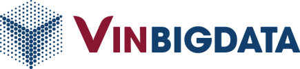 logo-VinBigData-2020-02